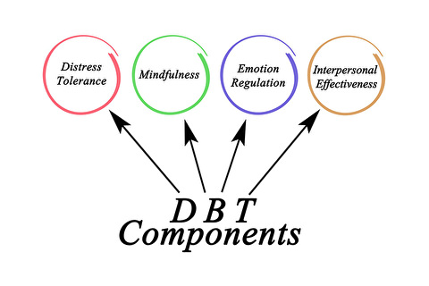 Four components of DBT therapy