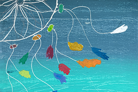 medicine wheel in the sky